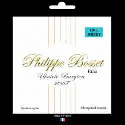Jeu Ukulélé Baryton nylon Titane
